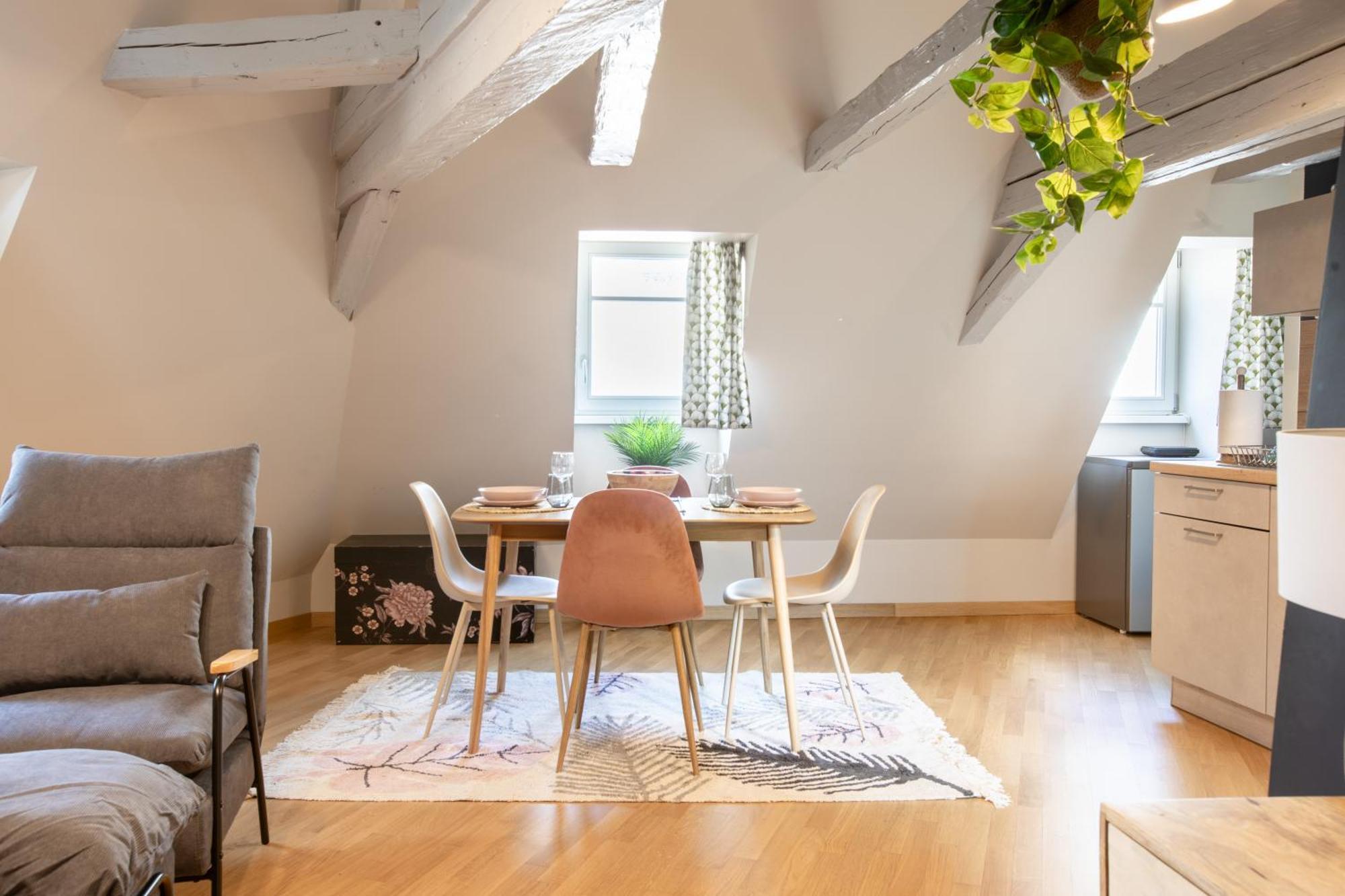 Duplex Atypique Au Coeur De Mulhouse Apartment Ngoại thất bức ảnh
